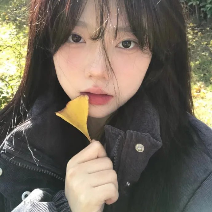 一秒变总统第二季